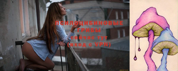 прущий лед Арсеньев