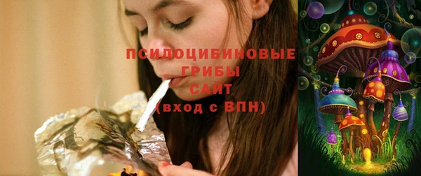 прущий лед Арсеньев